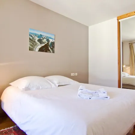 Chaleureux Avec Vue Mont-blanc, Wifi, Animaux Acceptes, Centre - Fr-1-343-183