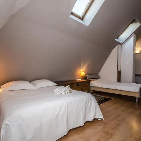 Apartment Duplex Au Coeur De Avec Wifi Et Animaux Admis - Fr-1-343-183 *