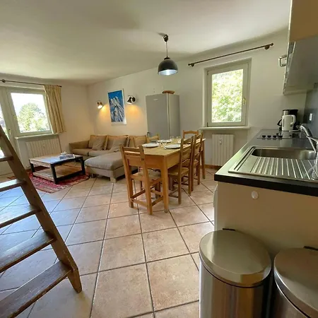 Duplex Au Coeur De Avec Wifi Et Animaux Admis - Fr-1-343-183 Chamonix