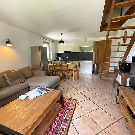 Duplex Au Coeur De Avec Wifi Et Animaux Admis - Fr-1-343-183 * Chamonix