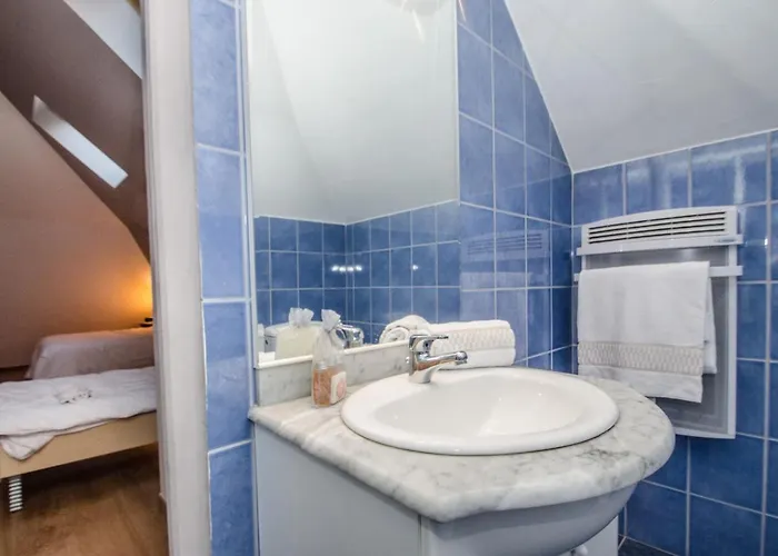 Apartment Duplex Au Coeur De Avec Wifi Et Animaux Admis - Fr-1-343-183 Chamonix