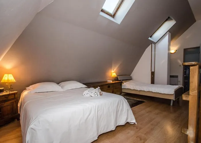 Apartment Duplex Au Coeur De Avec Wifi Et Animaux Admis - Fr-1-343-183 *